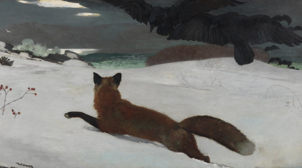 Viewers witness the scene from the fox's vantage point heighten's the sense of tension & empathy. Homer's carefully designed composition, indebted to his study of Japanese woodblock 🎨, supports the unfolding drama. pafa.org/museum/collect… @PAFAcademy Fox Hunt Winslow Homer, 1893