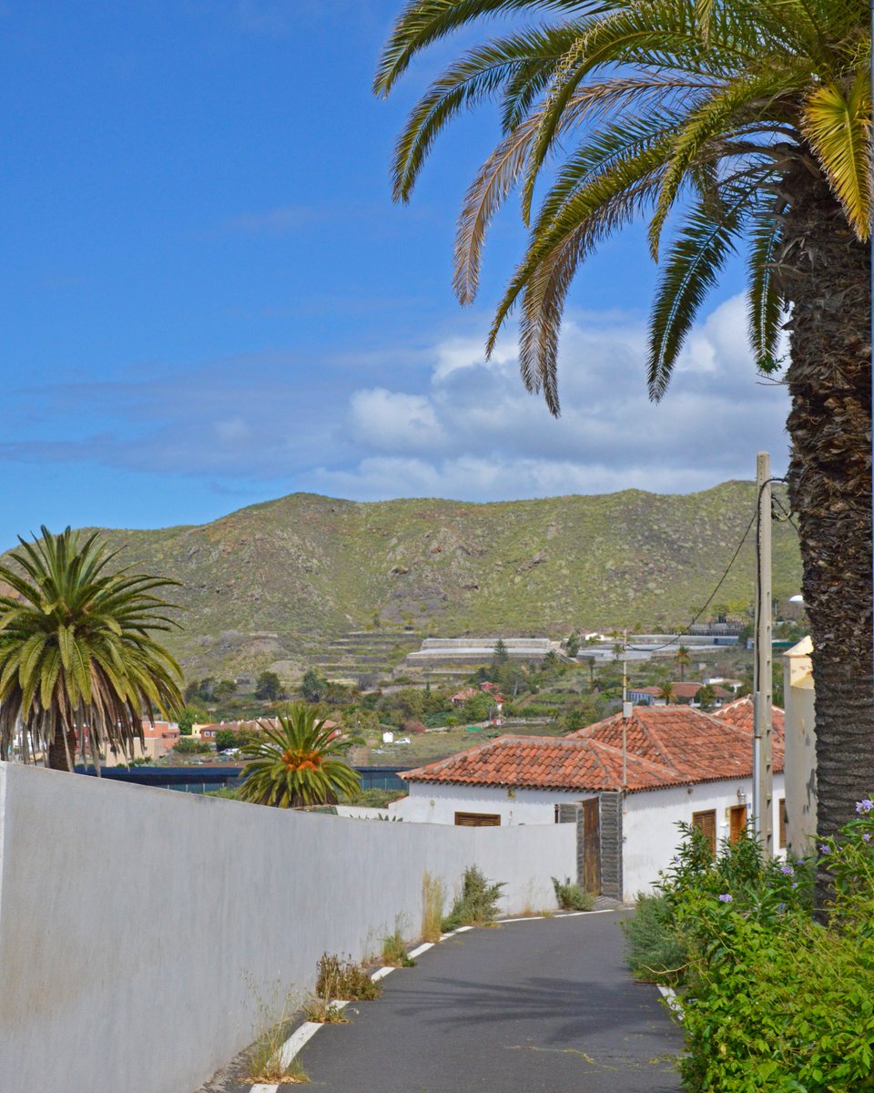 Recorrer las calles de Valle de Guerra y encontrar rincones con tanto encanto como este 😍 #TurismoLaLaguna #ValleDeGuerra #LaLaguna #Tenerife #Naturaleza @aytolalaguna_es @fandiarias