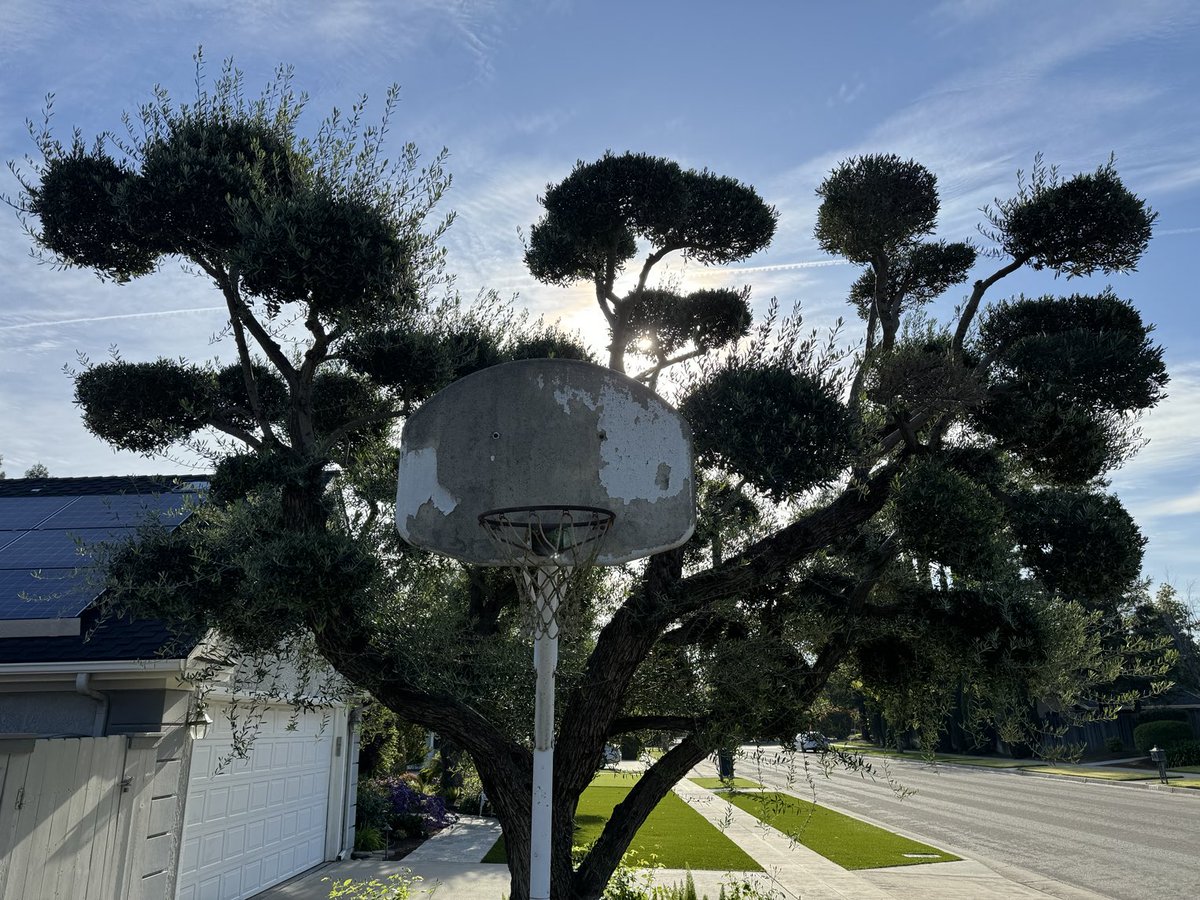 Hoop of the Day….Fresno,CA. #hoopoftheday