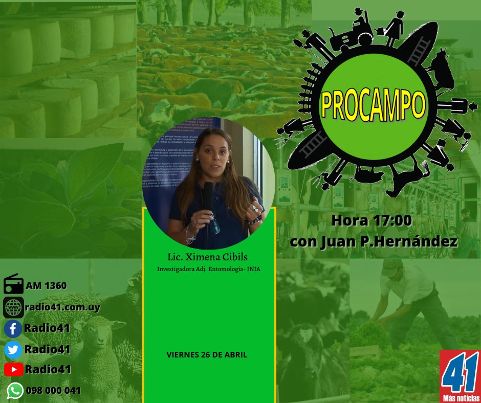 Hoy en #Procampo hablamos con <a href="/XimeCibils/">Ximena Cibils, PhD</a> de <a href="/INIA_UY/">INIA URUGUAY</a> sobre el trabajo de la entidad ante la expansión de la "chicharrita del maíz" y su impacto.

<a href="/ruralSJ/">Asociacion Rural de San Jose</a> 
<a href="/ViqueLeonardo/">Ing. Agr. (MSc) Leonardo Vique</a> 
<a href="/HernandezJuanpe/">Juan P.Hernández</a> 
<a href="/BaraibarNicolas/">Nicolás Baráibar Pedersen</a> 
<a href="/MazzilliSR/">Sebastian Mazzilli</a> 
<a href="/Franco_Rossi19/">Franco Rossi</a> 
<a href="/PabloLlovet1/">Pablo Llovet</a>
<a href="/AlexHUG19343914/">Ing Agr Alex HUGHES</a>