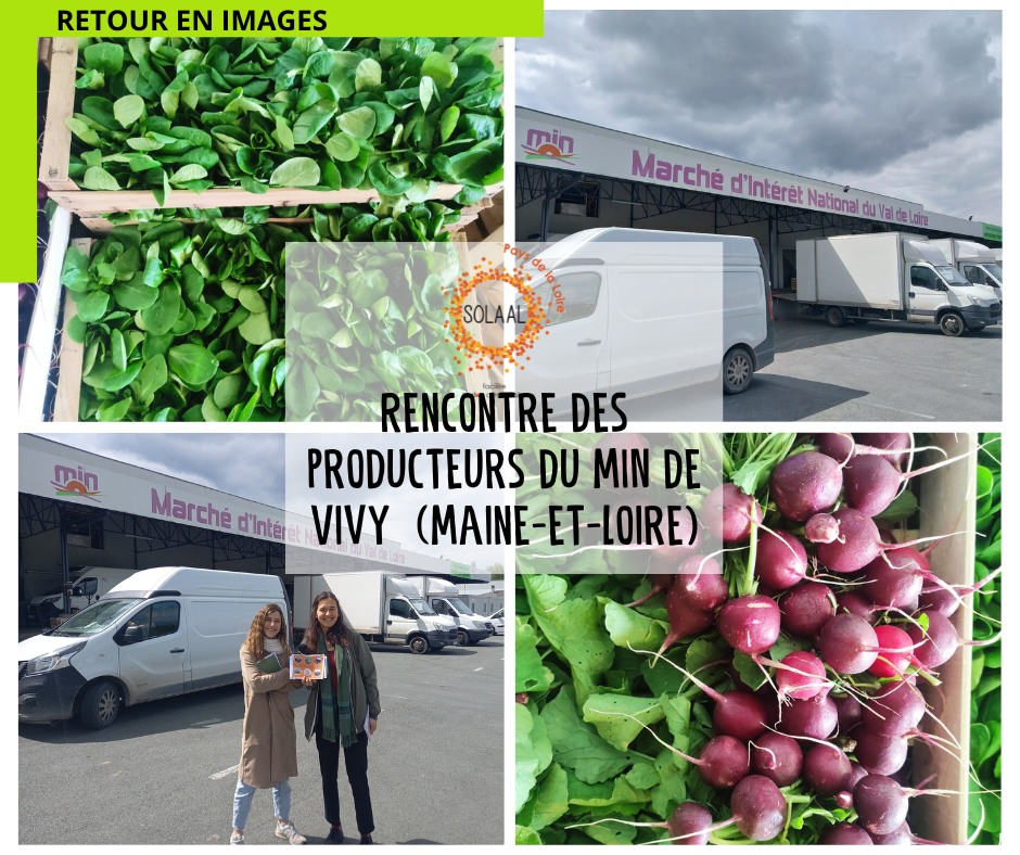 [Rencontre de producteurs ]

👉Ce jeudi, SOLAAL Pays de la Loire est allé à la rencontre des producteurs du MIN Angers Vivy grâce au soutien de la  Sominval.
Une moment idéal pour sensibiliser au don agricole et aux valeurs de solidarités ! 🥕🍅🥦
#SOLAAL #solidarité #DonAgricole