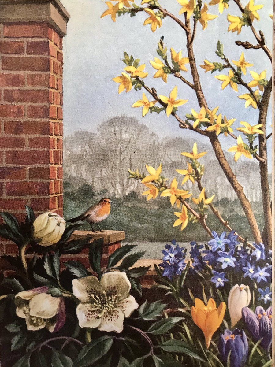 ‘Forsythia, Chionadoxa Hellebore  and Crocus’ 
John Leigh Pemberton (1911-97)  he was an Honourable 
English painter and Children’s book illustrator