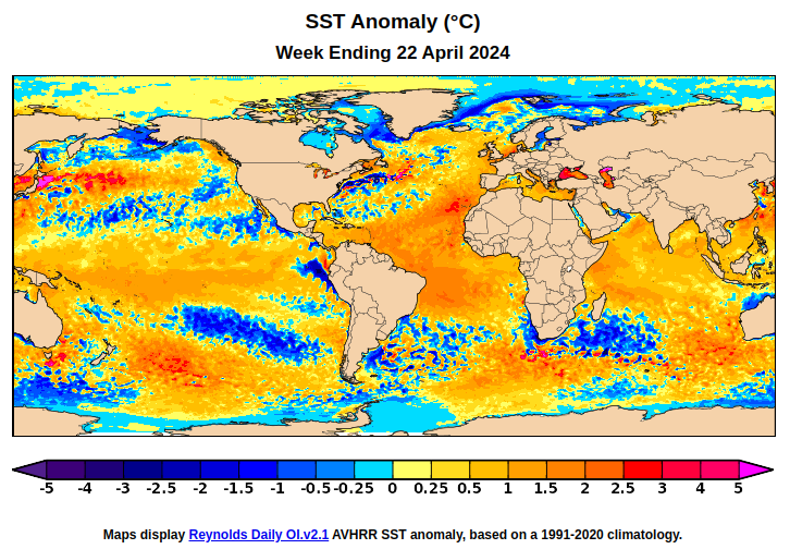 El Niño is ending, but near-equatorial SSTs around the globe aren't cooling off yet: still warmer than last year, and record high for the satellite era. The most unusual warmth is now in the Atlantic sector.