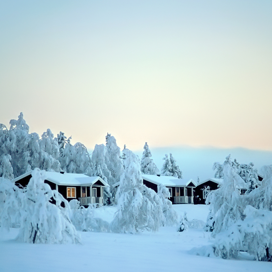 Book now for next winter!! 😍 Northern Lights Multi-activity Adventure in Lapland (Sweden) - A week of snowshoeing, dog sledding & overnight ski tour. Stay in a comfortable, private chalet plus night in wilderness cabin between New Year to early April ❄️ naturetravels.co.uk/winter-sweden-…