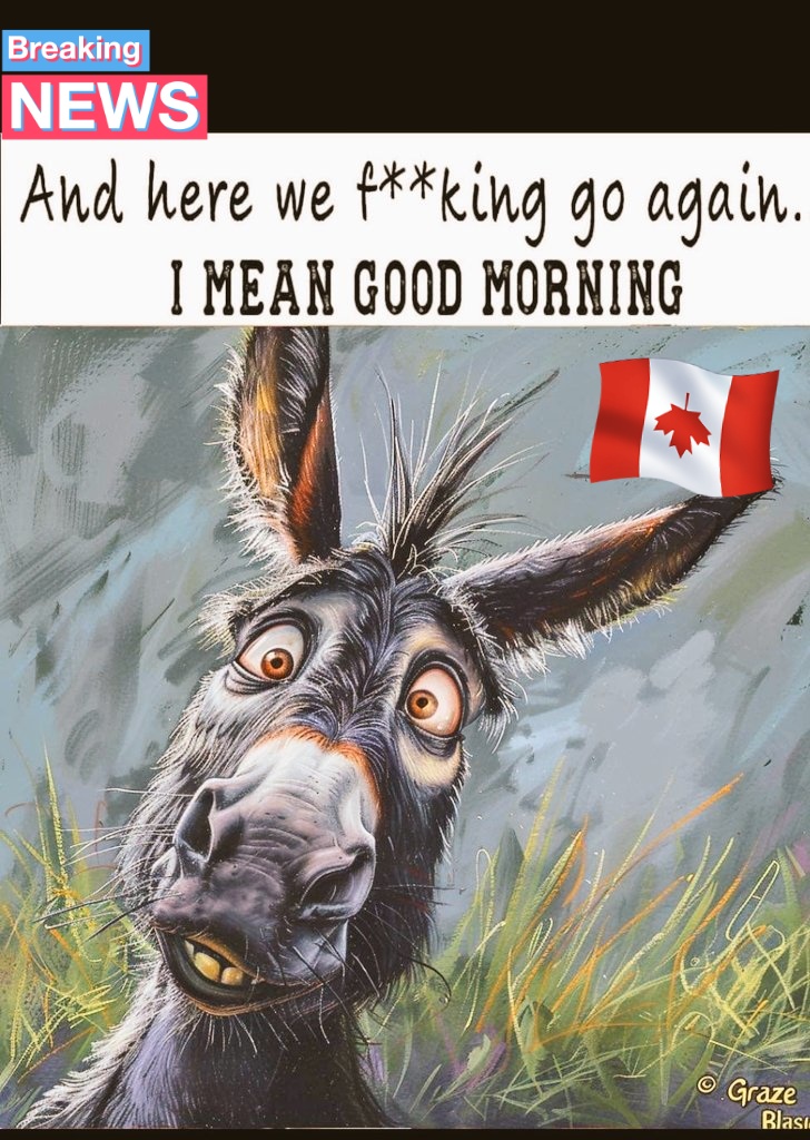 #Liberal #cult #fallowers another #TrudeauDestroyingCanada #MorningFix