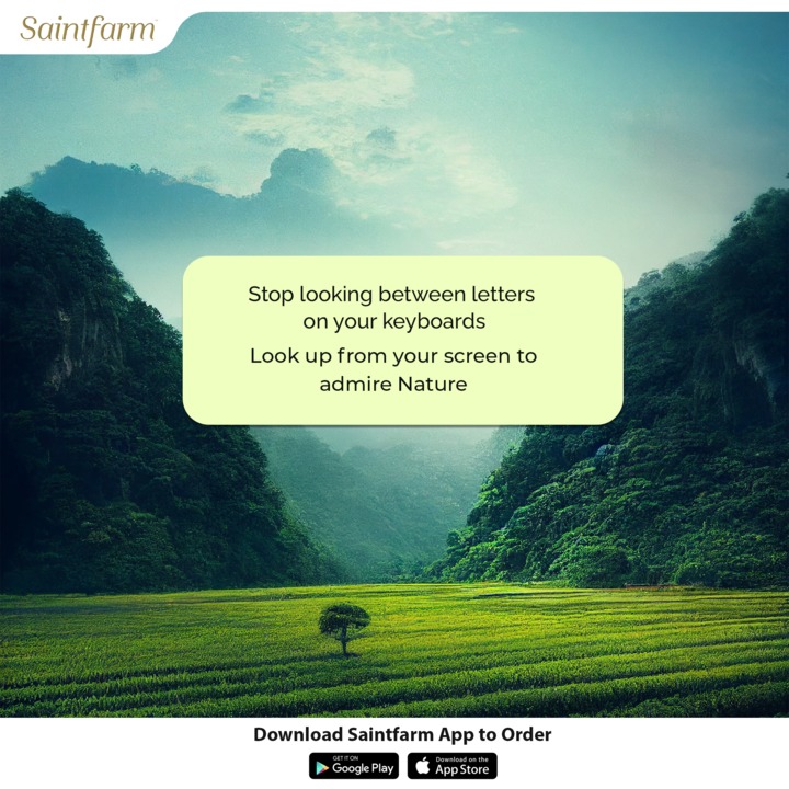 Sometimes, the best view is just above your screen. 🌄 Taking a break to admire nature's artwork😍
.
.
.
.
#saintfarm #saintfarmorganic #organiclove #organic #organicproducts #organiclifestyle #keyboard #peaceofmind #naturelover #naturelove #organiclove #trending #instatrend