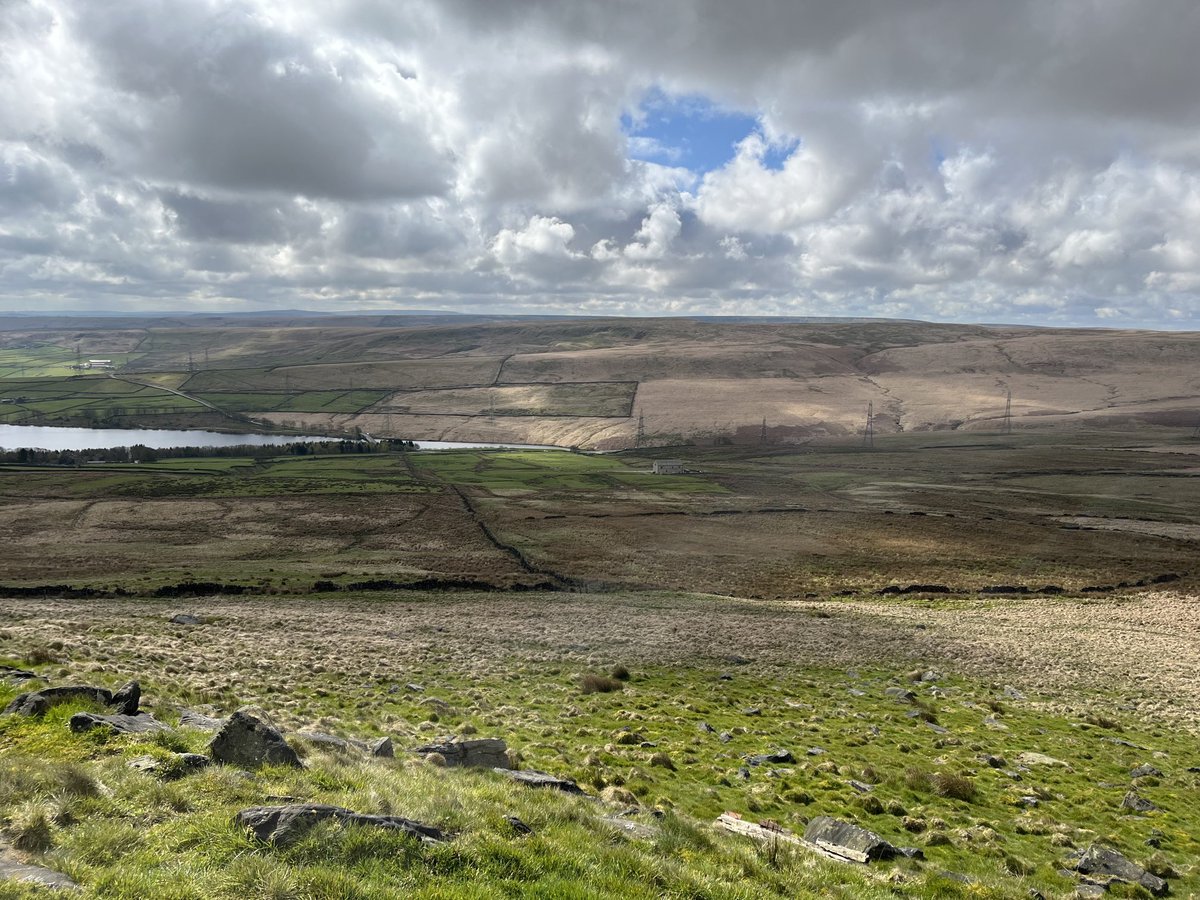 Fabulous day to be out in the South Pennines - home of the ‘Pennine Finch’ or Twite. Sadly no Twite but Curlew calling and Skylark singing 😊 ⁦@FarmWildlifeUK⁩ ⁦@Natures_Voice⁩