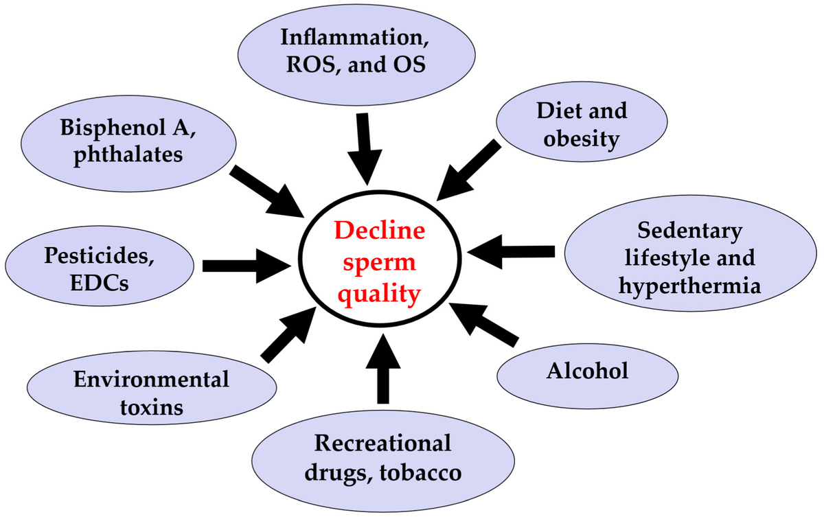 Sperm counts are dropping like flies...

BPAs
Obesity
Polyester
Pesticides
Phthalates
Drug abuse
Microplastics
EMF radiation
Sedentary lifestyle
Ultra-processed food
Chronic inflammation...

Your boys are being bombarded...