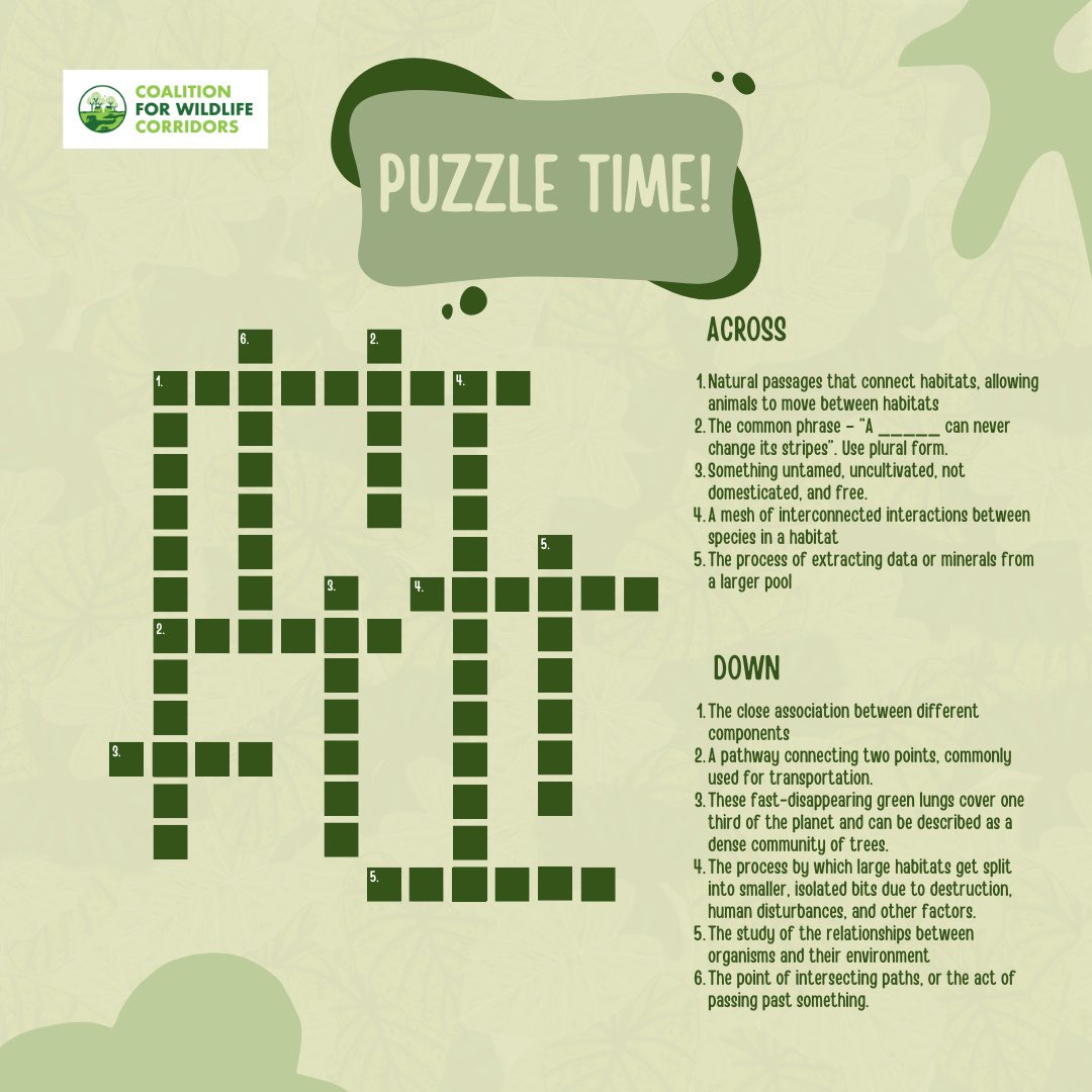 It's Puzzle Time! Think you know your wildlife corridors? 🦌🌿 Put your knowledge to the test. Comment your answers below and share this puzzle with your friends for a challenge! 🧩✨ Answers will be posted in our story tomorrow! #WildlifeTrivia #TGIF