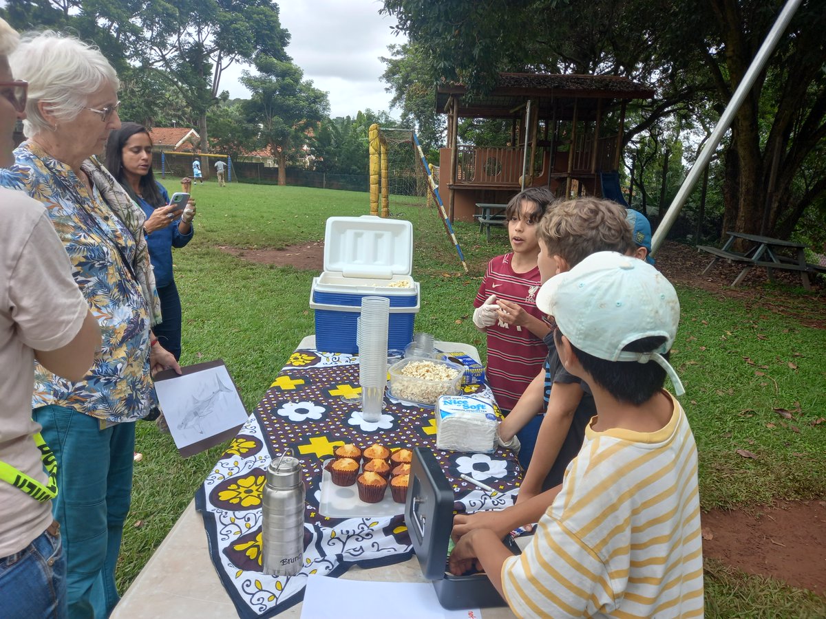 Today #ISUGrade4 ran their market stalls as part of their How We Organise Ourselves unit of inquiry. We love the community interaction and mathematical figuring-out in this unit! We wonder if they made a profit? #ISULearns #ISUConnects #IBPYP