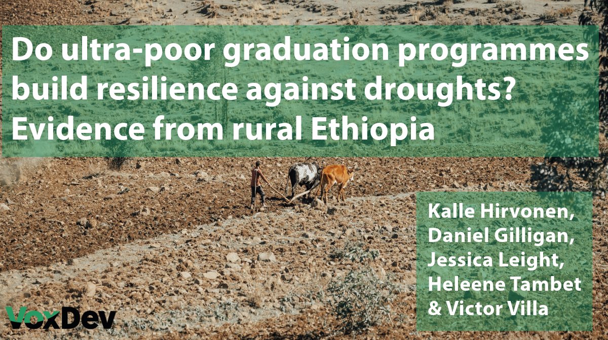 Do ultra-poor graduation programmes build resilience against droughts? 🇪🇹 Last month on VoxDev, @kallehi, @dogilligan, @leightjessica, Heleene Tambet @IFPRI & Victor Villa @CGIAR outlined evidence from rural #Ethiopia: voxdev.org/topic/social-p…