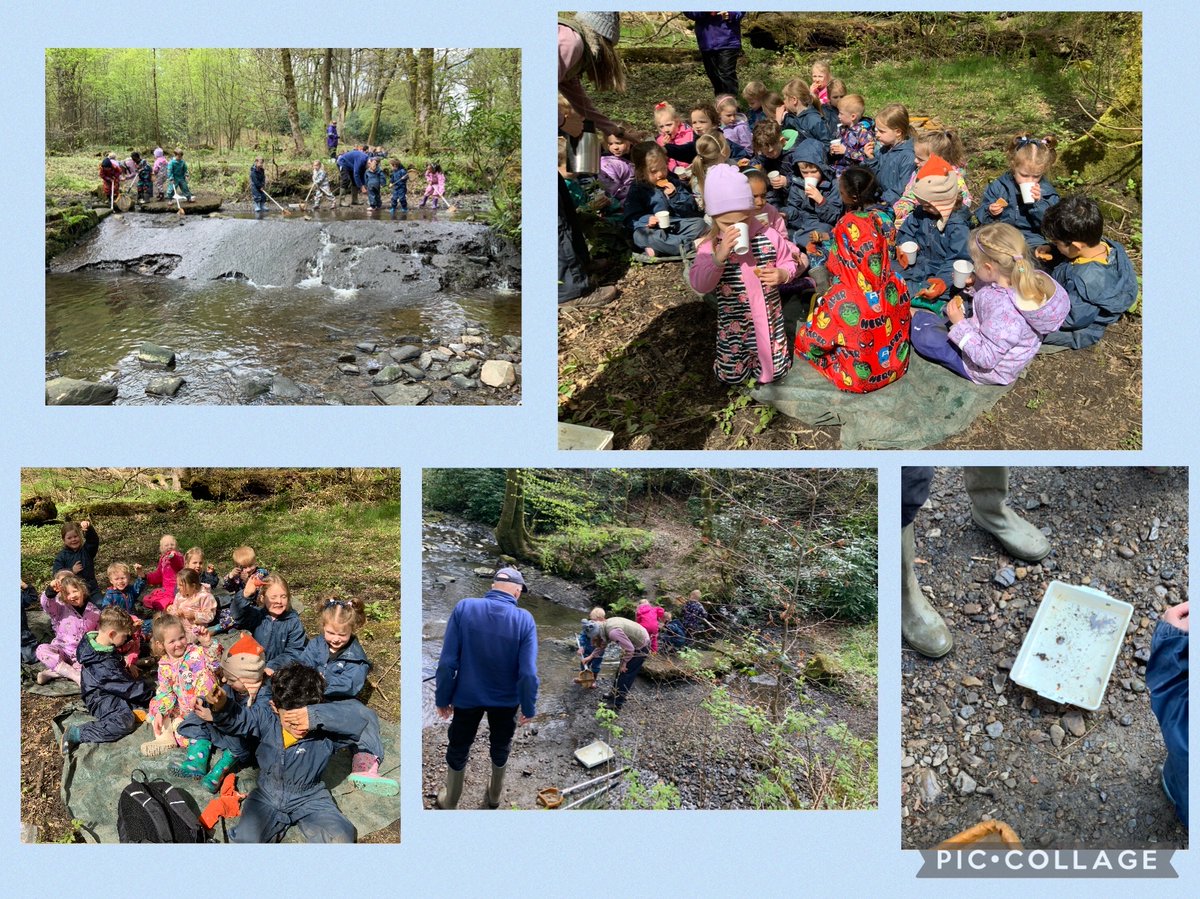 Reception really enjoyed pond dipping this week. They were amazed at what creatures they found! It was a beautiful day to be in the forest 🌿🌱🌲🌳☀️