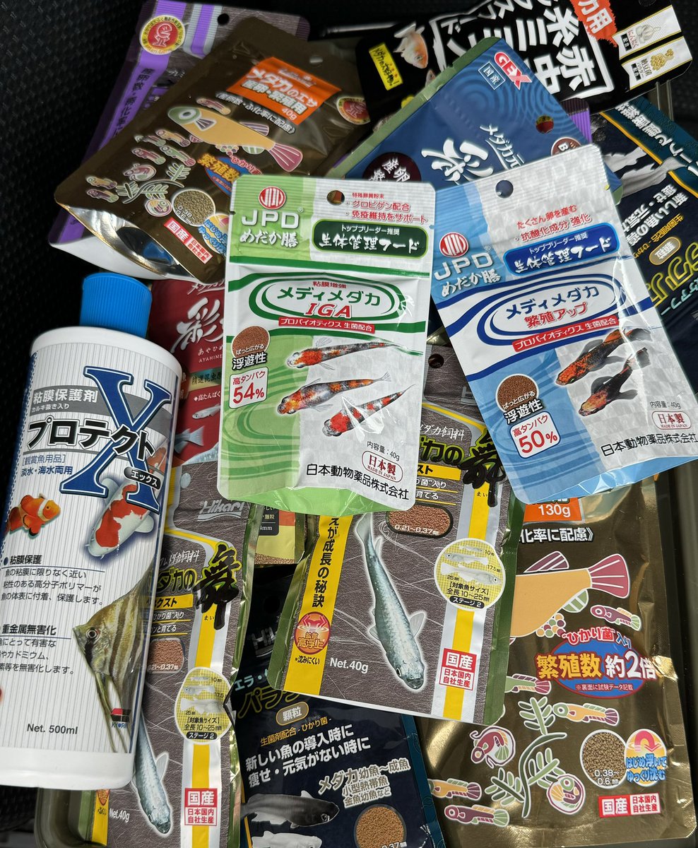 syuka_medaka's tweet photo. 【🎁プレゼント企画🎁】

60サイズに入るだけ入れます🙆‍♀️
これ以外にも使用済みヒーターや飼育用品が入ります👍

（当選者）1名

送料のみ負担お願いします🙏

（締切）5月4日24時

（応募方法）フォロー＆RT

インスタでも同じプレ企画やってるので是非🙆‍♀️
インスタは当選者3名なので確率🆙 https://t.co/yHpsUBN8dA