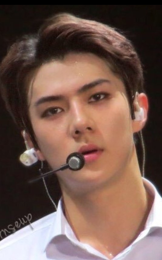 nonsehun3 tweet picture