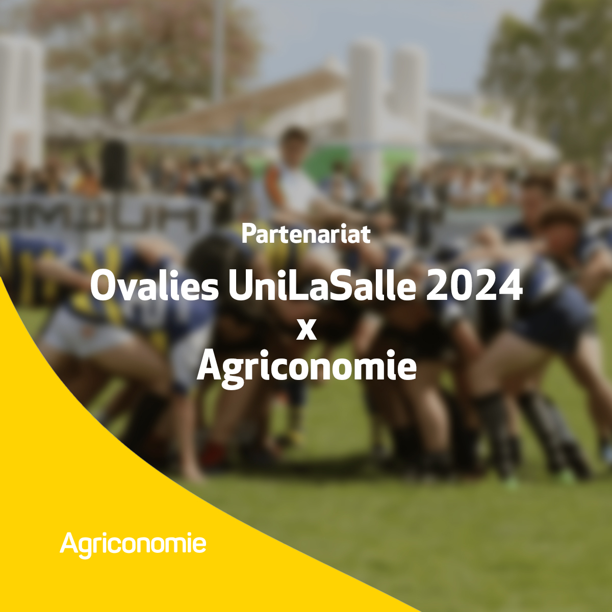 Agryco (ex : Agriconomie) (@agryco_com) on Twitter photo 50 écoles, 250 matchs... C'est parti pour la 29ème édition des Ovalies <a href="/UniLaSalle_fr/">UniLaSalle</a> 2024 ! 🏉
Comme chaque année, Agriconomie renouvelle son engagement pour le goût de l'effort, le respect et l'esprit d'équipe.
Nous croyons en la force du collectif, en l'avenir de 50 écoles, 250 matchs... C'est parti pour la 29ème édition des Ovalies <a href="/UniLaSalle_fr/">UniLaSalle</a> 2024 ! 🏉
Comme chaque année, Agriconomie renouvelle son engagement pour le goût de l'effort, le respect et l'esprit d'équipe.
Nous croyons en la force du collectif, en l'avenir de