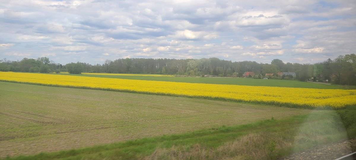 Speeding through lush Polish farmland on a train back from Hannover gives me some insight as to why EU food security is something the UK is missing.