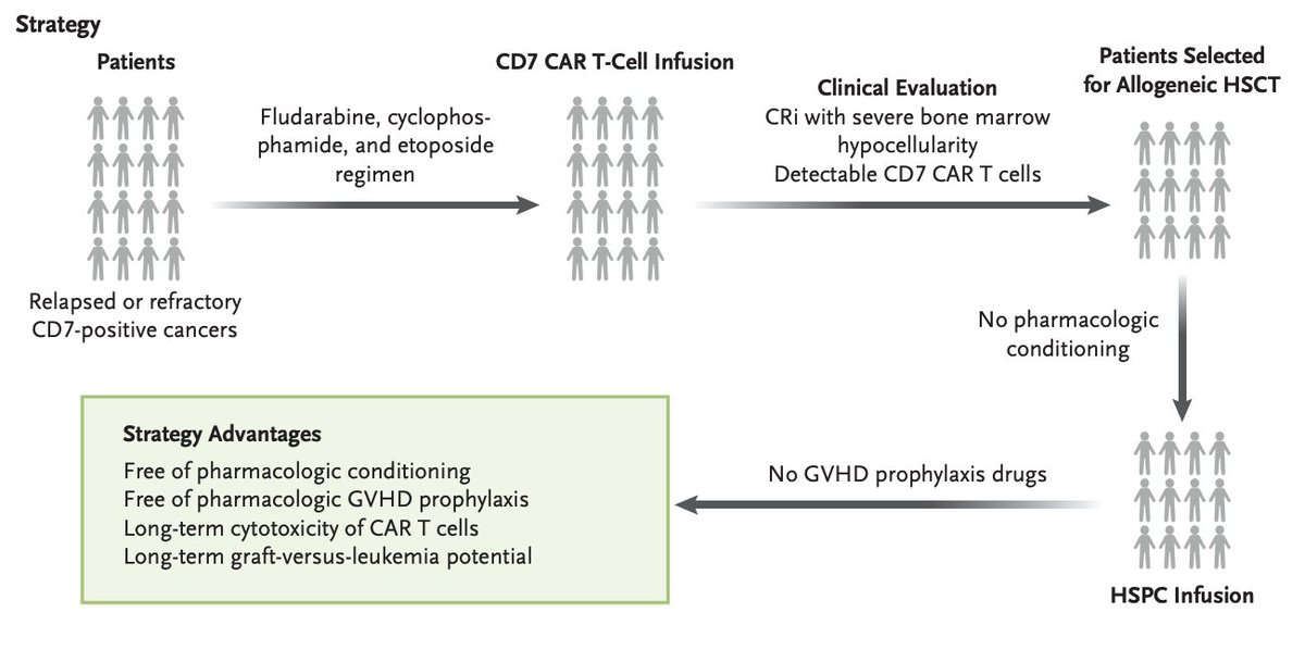 CD7 #CARTCell Therapy as a preconditionning for Allogeneic HSCT without GVHD Prophylaxis.
nejm.org/doi/full/10.10…