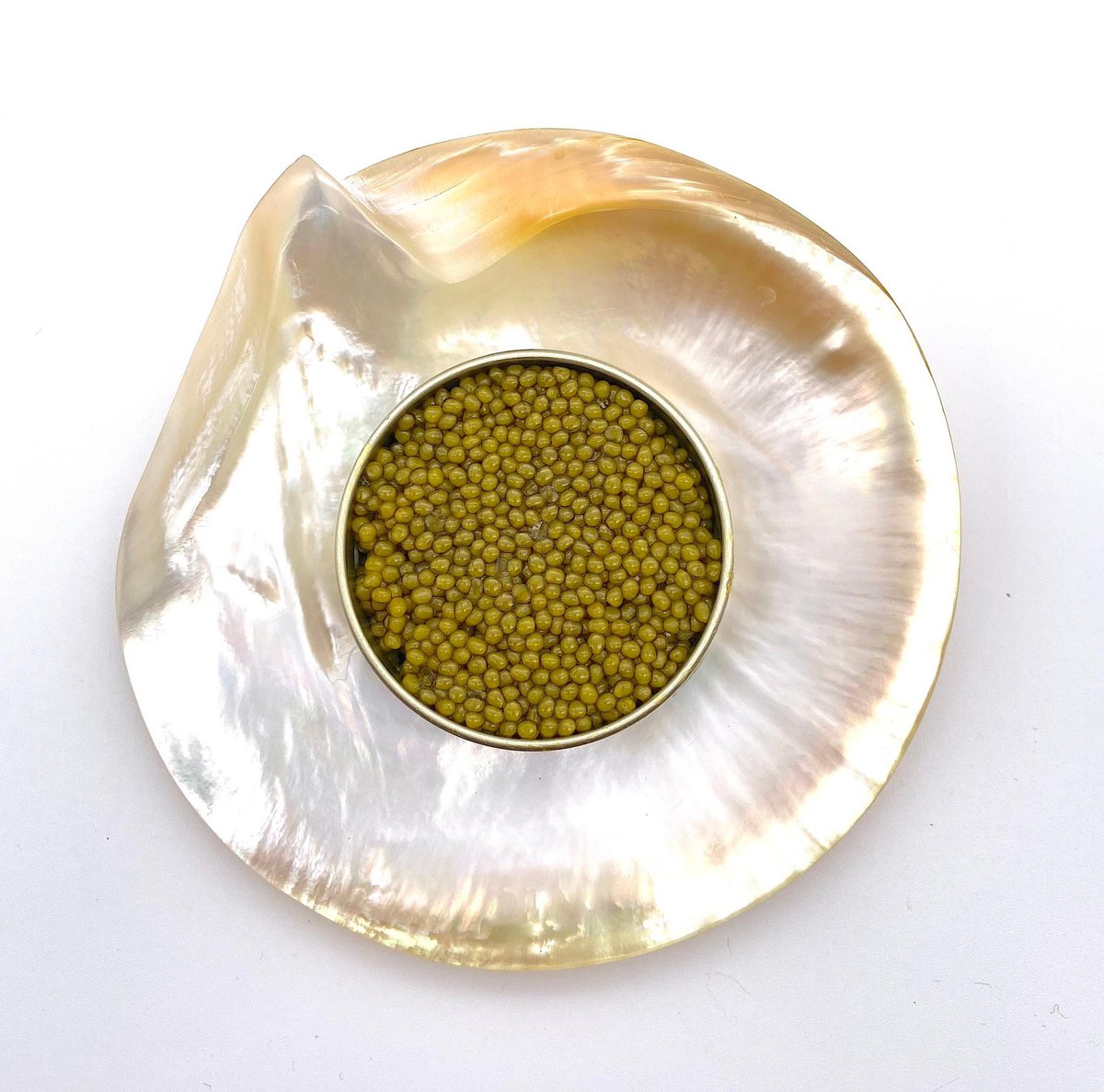 Looking for something special? try our Almas Diamond Caviar the rarest of the golden caviars.

kingsfinefood.co.uk/kings-category…

#almas #caviar #almasdiamond #almasdiamondcaviar #eggs #golden #sturgeon #kingsfinefood #buyonline #deliveryavailable #finefood #luxury #colour
