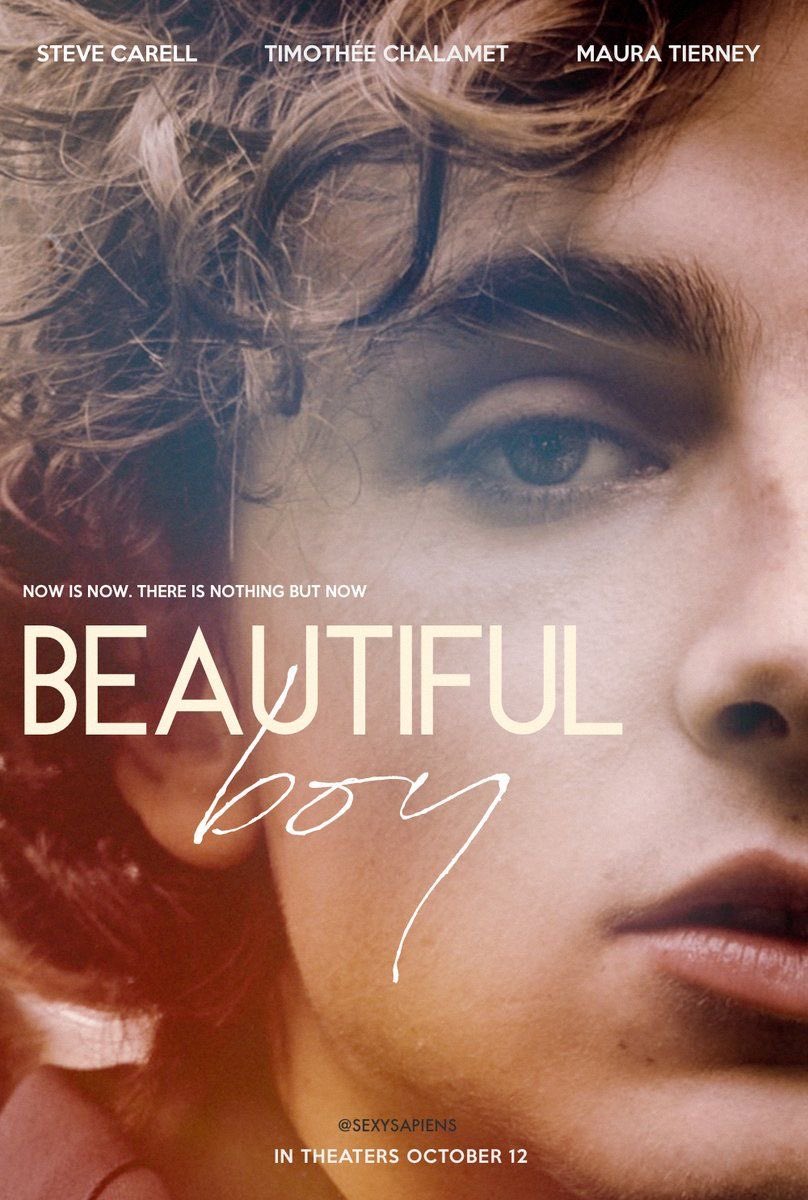 “An alcoholic will steal your wallet and lie to you. A drug addict will steal your wallet and then help you look for it.”

#BeautifulBoy ❤️