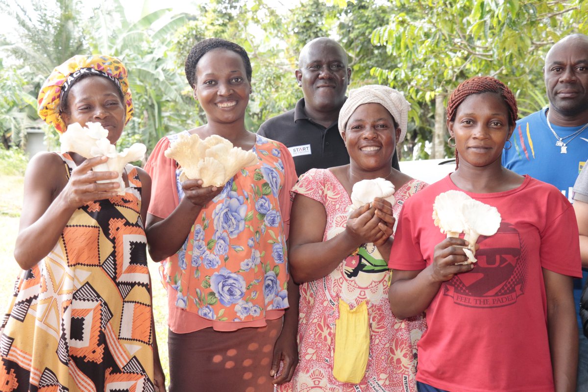 Afin de concretiser sa volonté de soutenir la résilience des jeunes femmes par la culture des champignons, l’entreprise Bureau Valée en collaboration avec #PlanInternational ont visités ce jour trois unités de production pilotes à Ebolsi, petite localité de la commune d'Awae.