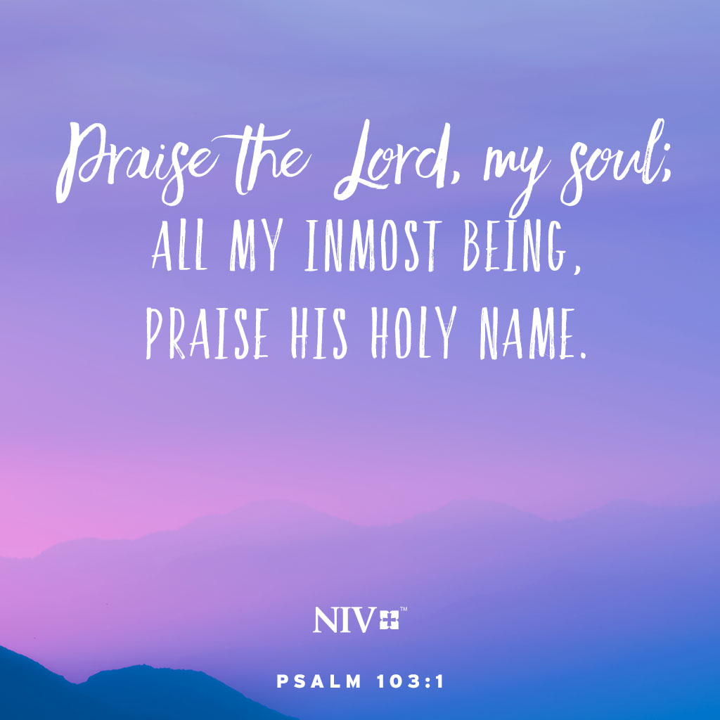 Praise the Lord, my soul; all my inmost being, praise his holy name. Psalm 103:1 #niv #nivbible #votd #verseoftheday