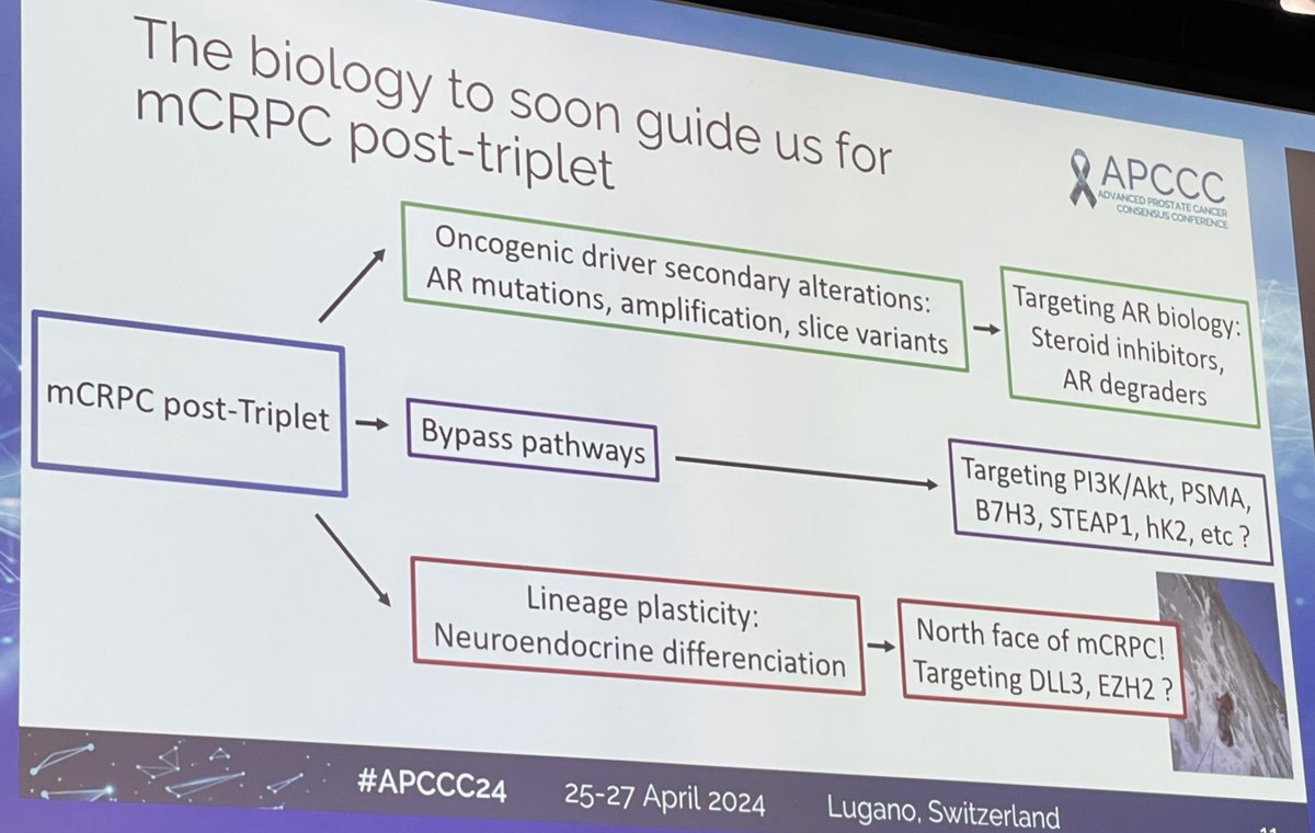 #APCCC2024 @APCCC_Lugano 👉 Insight talk by #KaimFizazi on Rx of mCRPC #prostatecancer after triplet therapy in mHSPC 👉tumor biology to soon guide treatment & treatment options in the near future👇@OncoAlert @urotoday @PCF_Science @Silke_Gillessen