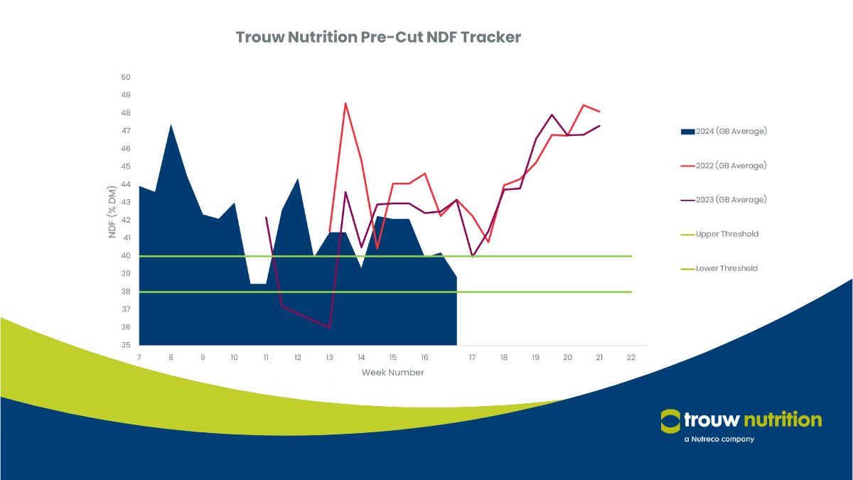This week we've seen the highest number of pre-cut samples so far, indicating that farmers are considering mowing. See full report ➡️ trouwntr.tn/2yR GrassWatch subscription info ➡️ trouwntr.tn/2yS #TrouwNutrition #PreCutTracker #GrassWatch