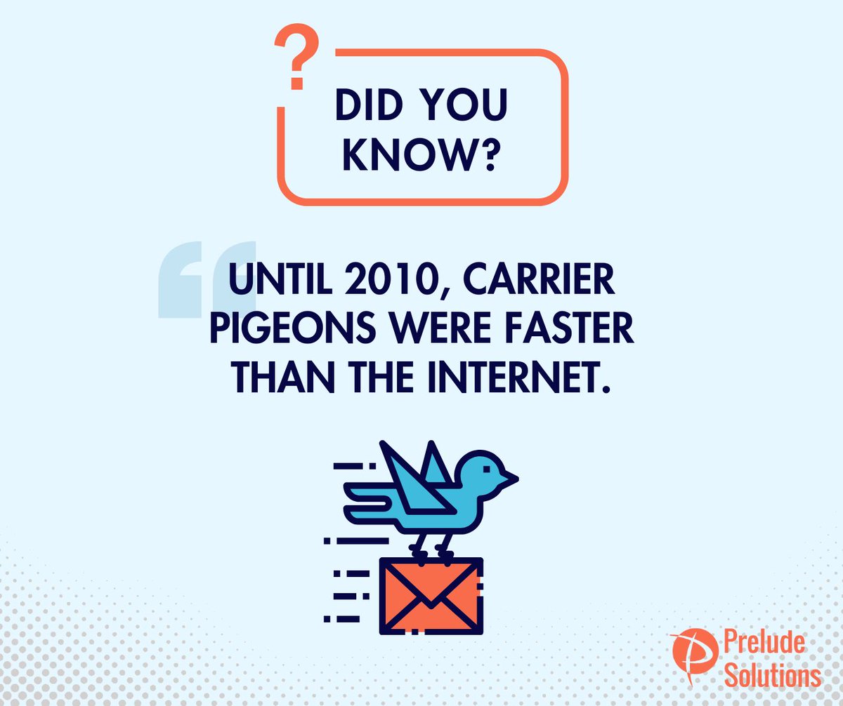 PreludeSolution's tweet image. 🐦 Did you know that until 2010, carrier pigeons were faster than the internet? It's true!
If you're tired of slow speeds holding your business back, reach out to Prelude Solutions. #OptimizePerformance 🚀