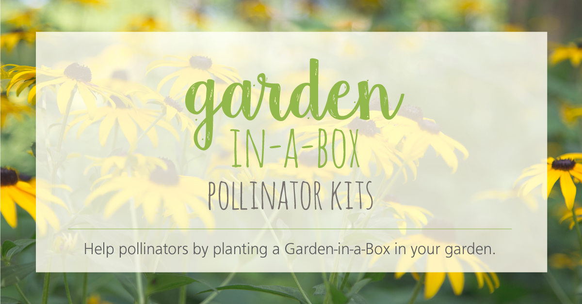 Garden-in-a-Box is back again! Plant a curated native species kit at home this year to help protect pollinators in our watershed.🐝🌼 Learn more about each kit and order yours here: conservationhalton.ca/garden-in-a-bo…