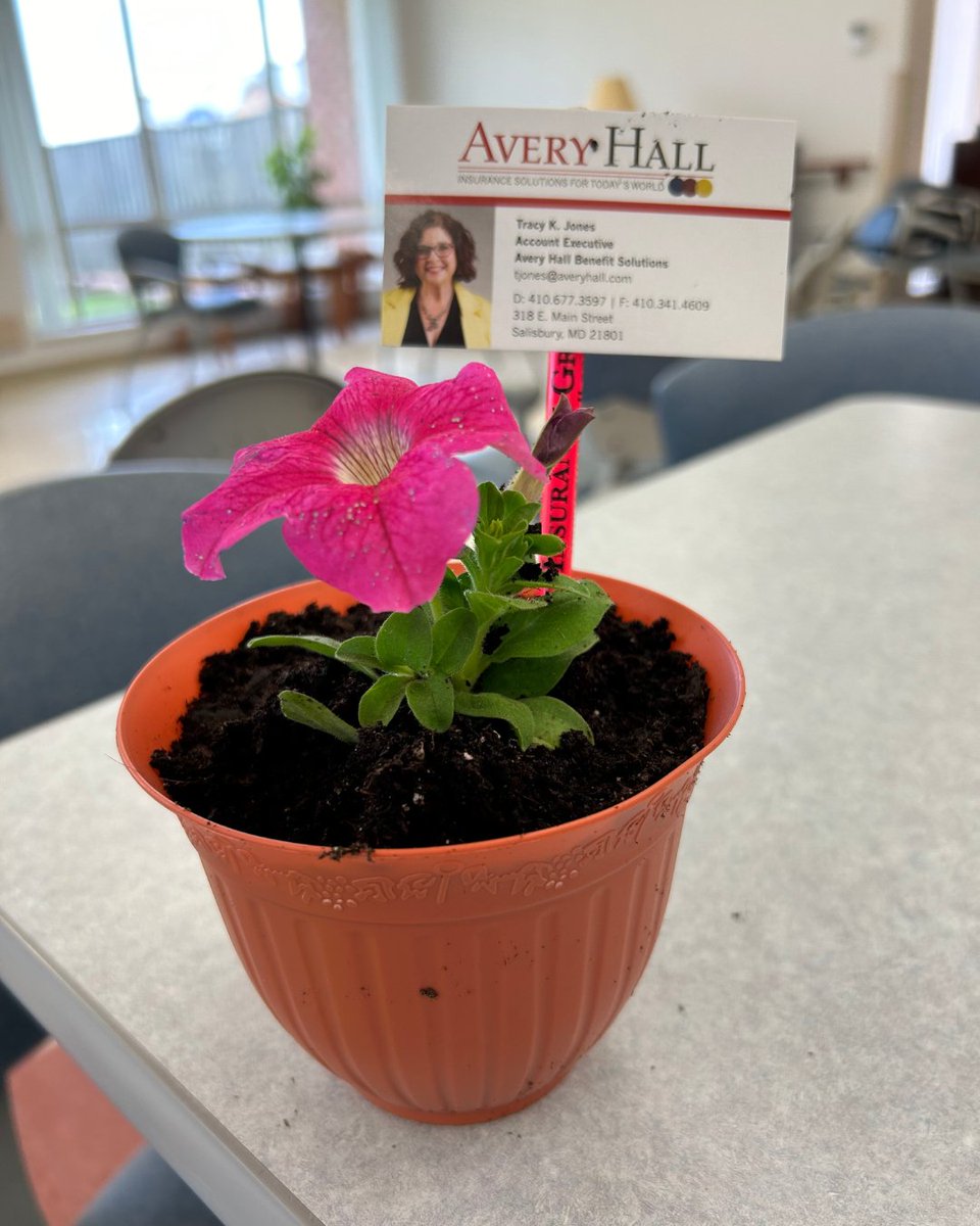 The seniors at the Snow Hill 50+ Center had a great time at their Spring Flower Fun event with Tracy Jones from Avery Hall! 💐❤️ Please reach out to our team at 410-742-5111 or 410-822-7300. 

#weloveourcommunity #supportseniors #medicarehelp #happyspring