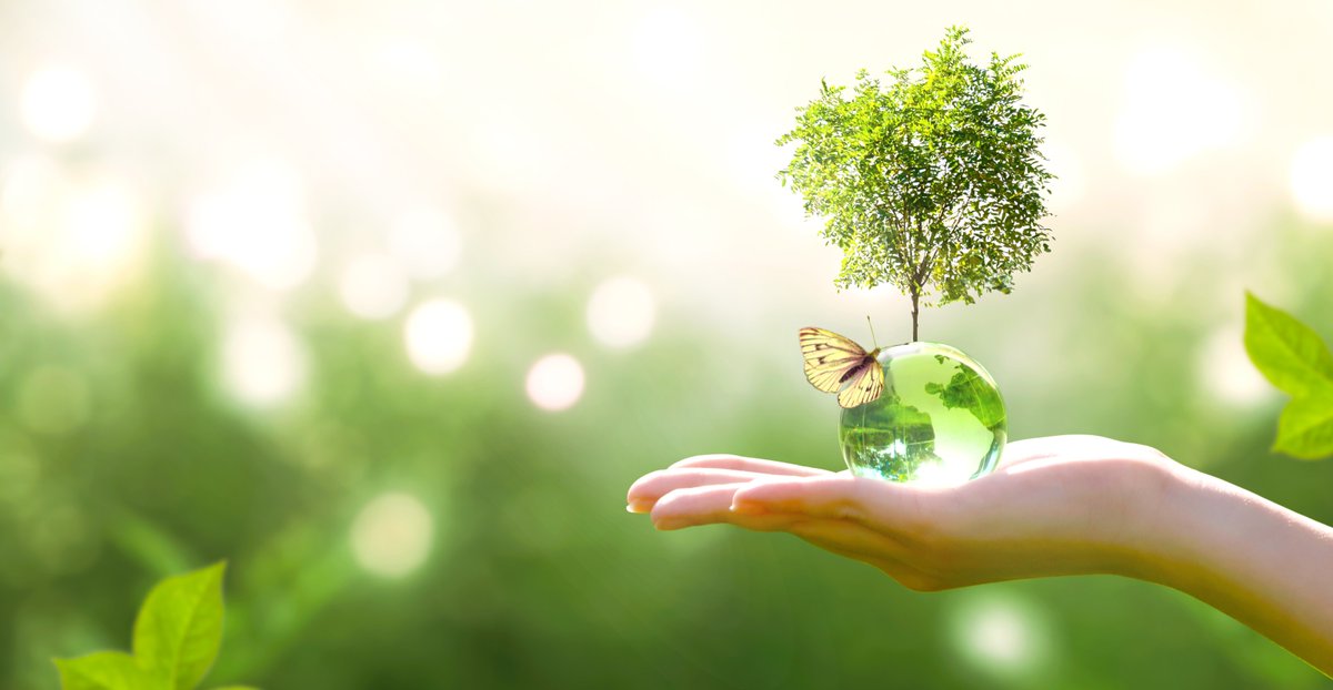 Happy Arbor Day! The power to recycle right is in your hands. Here’s news you can use: Recycling a stack of newspapers just three feet high saves one tree.

The power to recycle right is in your hands! #recycleright @WM #LHP