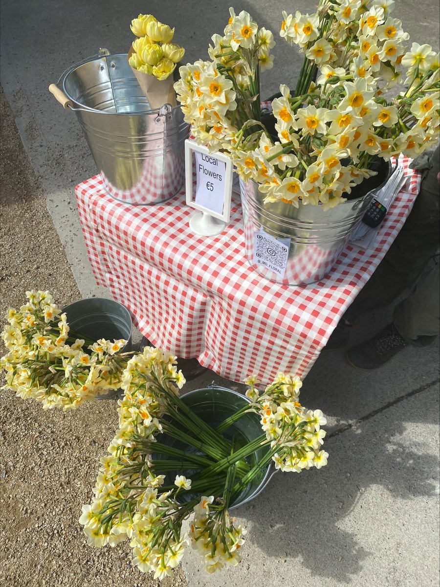 🌸 Martina's @_md_floral flower stand is blooming today at the Farmers Market! 🍓 Fresh strawberries from Goode Food Co. just landed! Come visit for a taste of springtime delights! 📆Friday & Saturday 9 am - 2.30 pm 📍Airfield Estate 🎟️Free entry⁠ 🌿 #AirfieldEstate