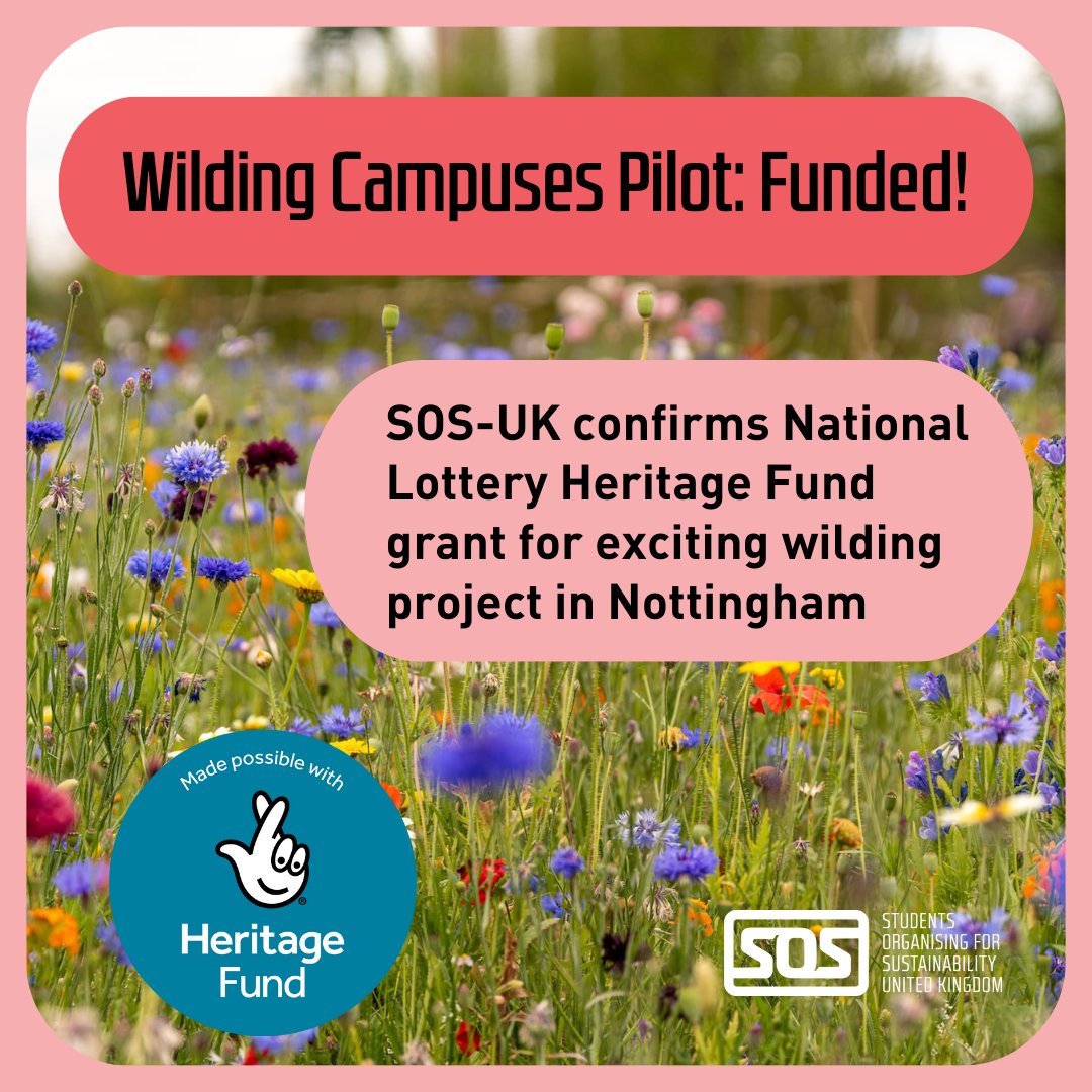 We've received a grant from @HeritageFundUK for Wilding Campuses, our exciting pilot natural heritage project. The Nottingham-based pilot focuses on returning wild nature to land owned by universities, colleges and schools. 🔗Read more at tr.ee/7rQhWQQf4P