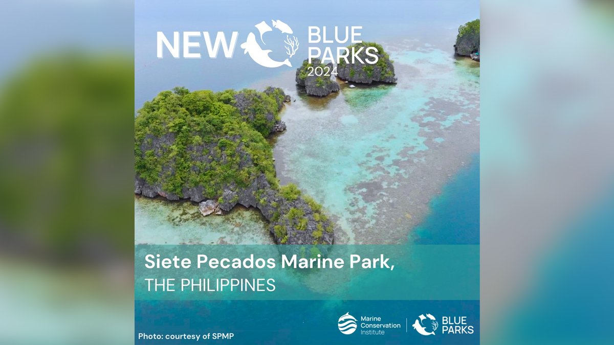 #MarineProtectedArea Highlight: 🇵🇭 Siete Pecados Marine Park in Coron receives the esteemed #BlueParkAward at the Our Ocean Conference for its exceptional conservation efforts. This accolade highlights its dedication to preserving marine biodiversity. 🌊🏞️eu1.hubs.ly/H08HQsr0