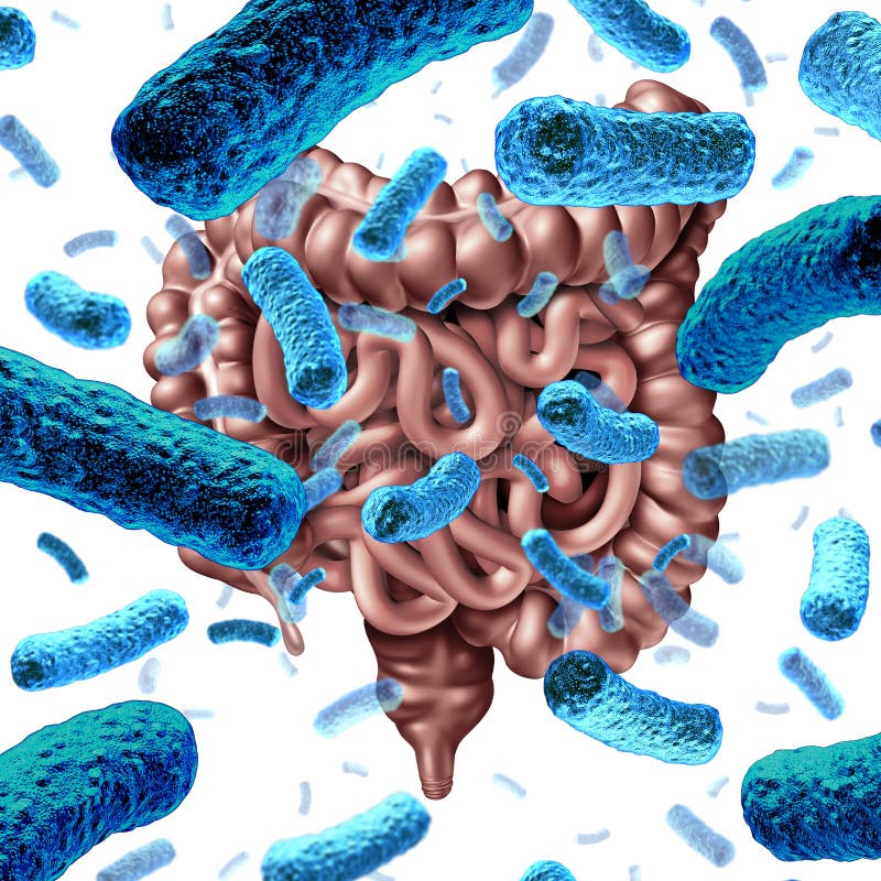 How long does it take for the gut microbiome to change after switching diets? Your dietary choices impact your gut chemistry — and your gut health — in as few as three days. #GutHealth #HealthyEating #HolisticHealth