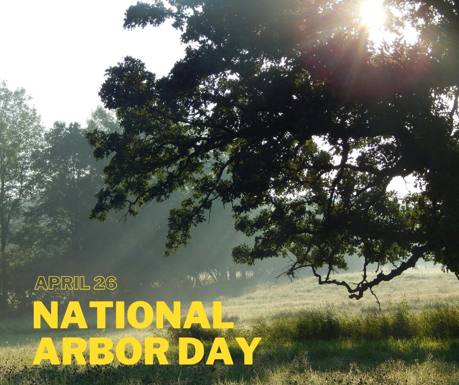 Hug a tree today, Happy Arbor Day!
exquisitetaxservice.com #TaxPro #FastAndFriendly