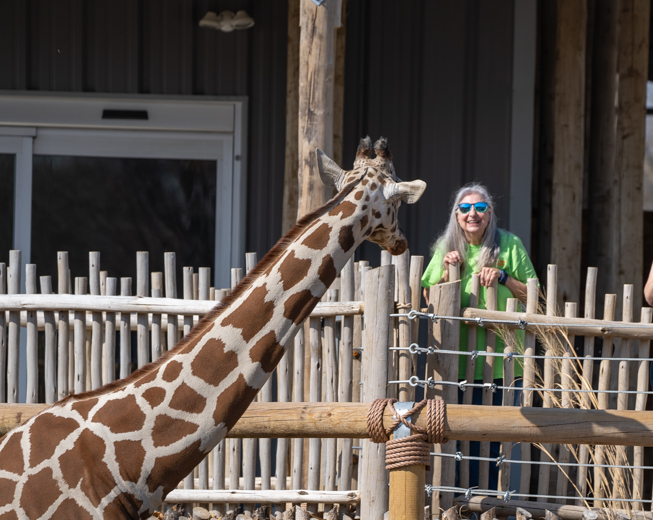 Taking a moment during #NationalVolunteerWeek to thank our amazing community. With this year's graduating class of 24 individuals, the Topeka Zoo now has over 120 docents. Docents provided over 11,000 volunteer hours in 2023 alone- bringing the total to over 60,000 since 2017.