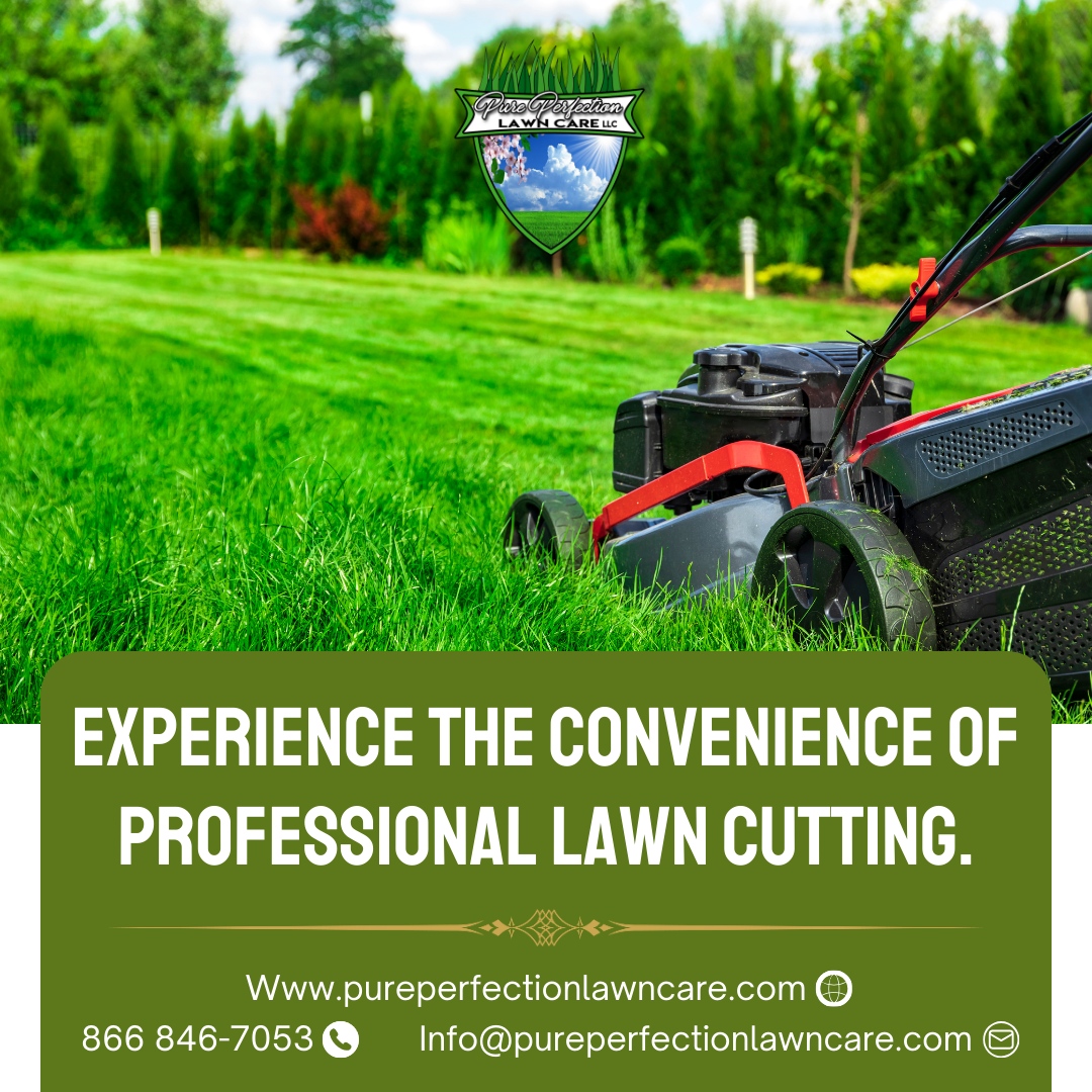 Contact us to schedule your cutting service! ✨ Say hello to a beautifully trimmed lawn without the hassle!

🌐 pureperfectionlawncare.com
📞 866 846-7053
📧 Info@pureperfectionlawncare.com

#PurePerfectionLawnCare #lawngoals #outdoorliving #gardens #outdoors