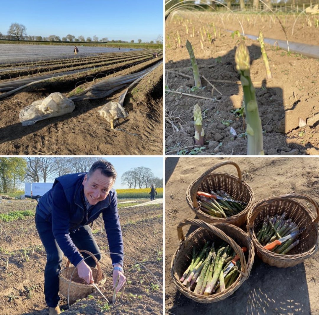 Asparagus season is in full swing and showcased on our menu. James has been lucky enough to visit @spilman_farming to lend a hand picking in the past! 

You can't beat Yorkshire asparagus.

#asparagus #asparagusseason #yorkshireasparagus #pipeandglass