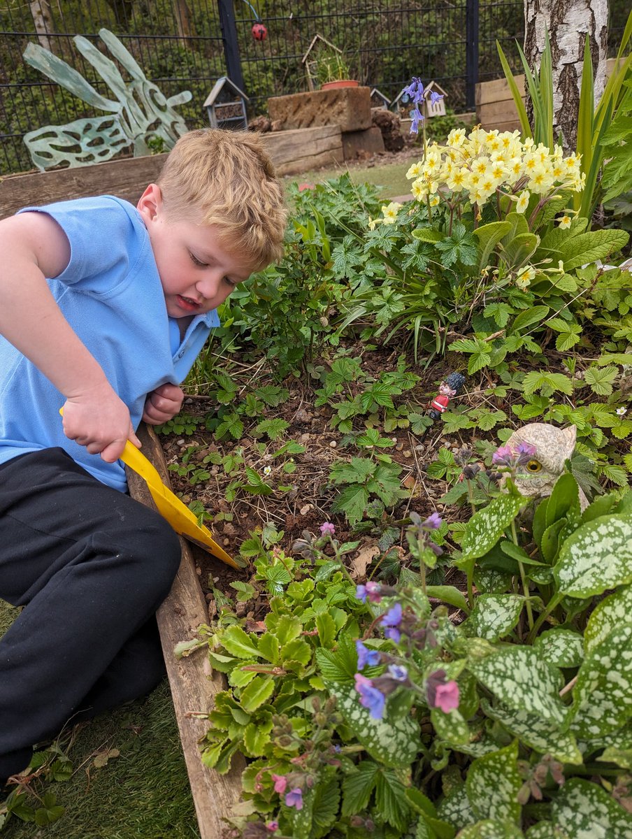 Y1- we ve been busy planting  in the garden  today to encourage wildlife in to our yard. #ecoschool #greenfingers