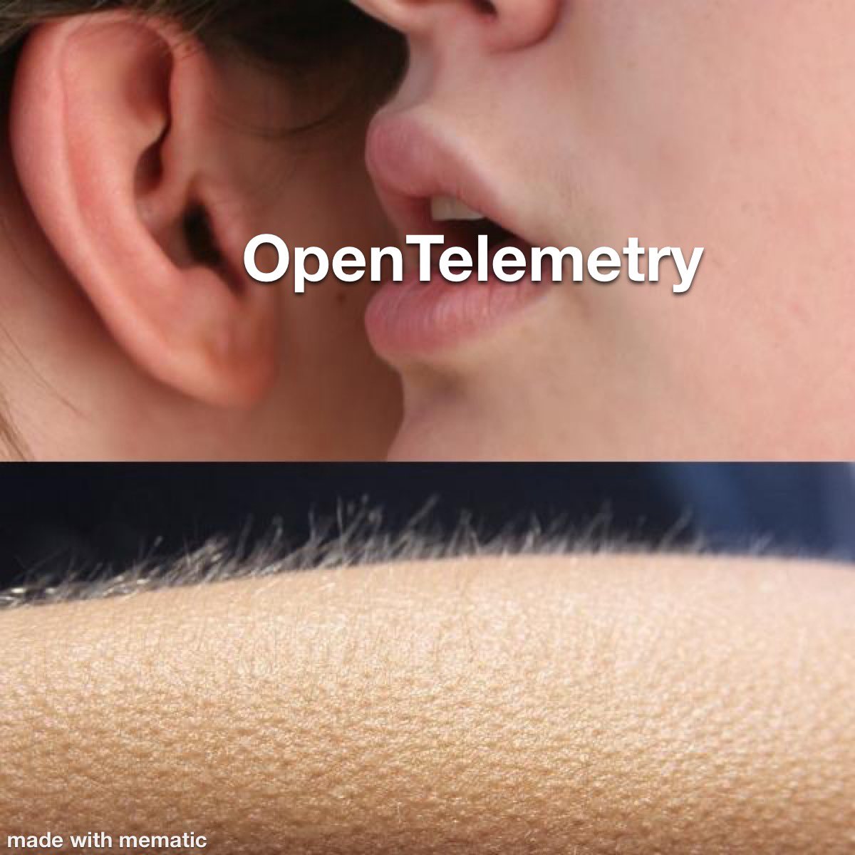 #meme #opentelemetry