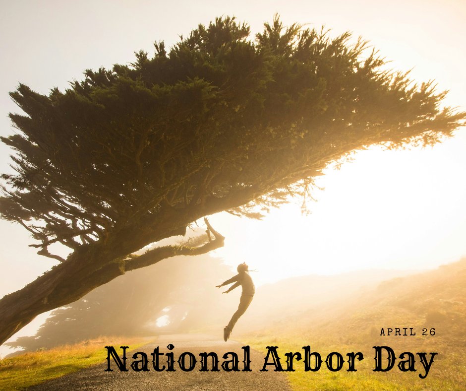 Let nature set you free, Happy Arbor Day!
troydunninsurance.com #MotorcycleInsurance #DunnInsurance #EventInsurance #NRHinsurance #BetterTogether #WeHaveYouCovered