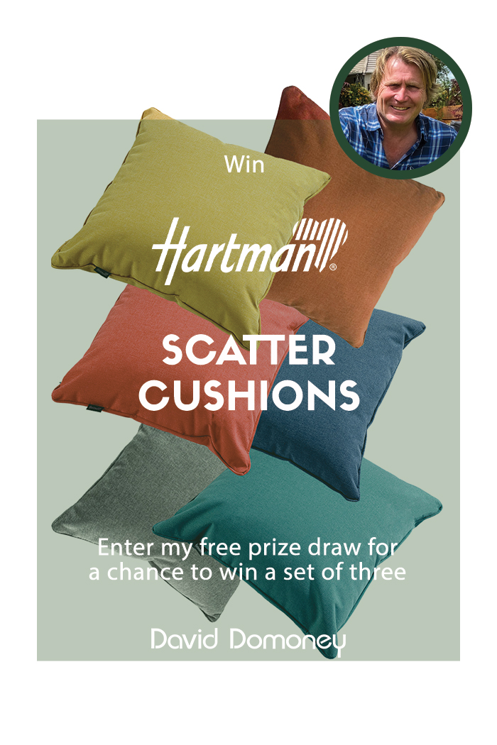#ad

Enter my free prize draw for your chance to win 3 @love_hartman scatter cushions.

👉  bit.ly/43BUyJ0

UK Residents Only
T&C's Apply
Closes 30/04/24 at 11:59 PM

#PaidPartnership #WinItWednesday #FreebieFriday