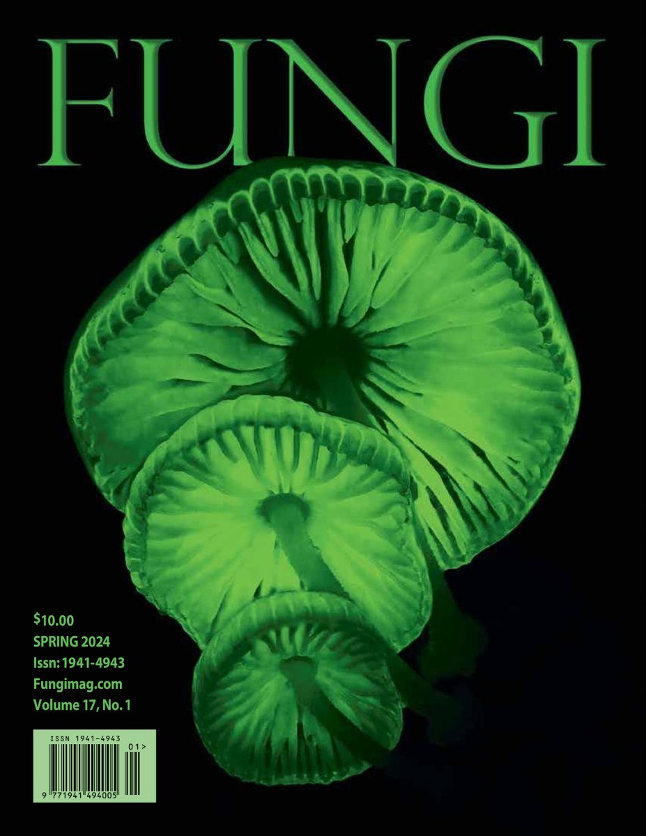 Interested in fungi that glow in the dark? A new paper is just out on the extraordinay GIGANTIC bioluminescent fungal networks in the Amazon. Online copy at: treediseases.cfans.umn.edu/sites/treedise…