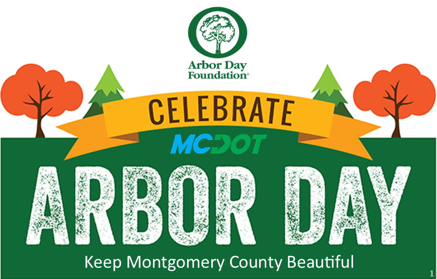 MCDOT Division of Highway Services maintains over 250,000 trees🌳 in the dedicated county right of way and another 200,000🌳in rural areas. #DYK we also plant approximately new 2,500 #trees🌲every year. 🌳🔗ow.ly/By2M50RifXE #ArborDay @MarylandDNR @MyGreenMC #EarthMonth