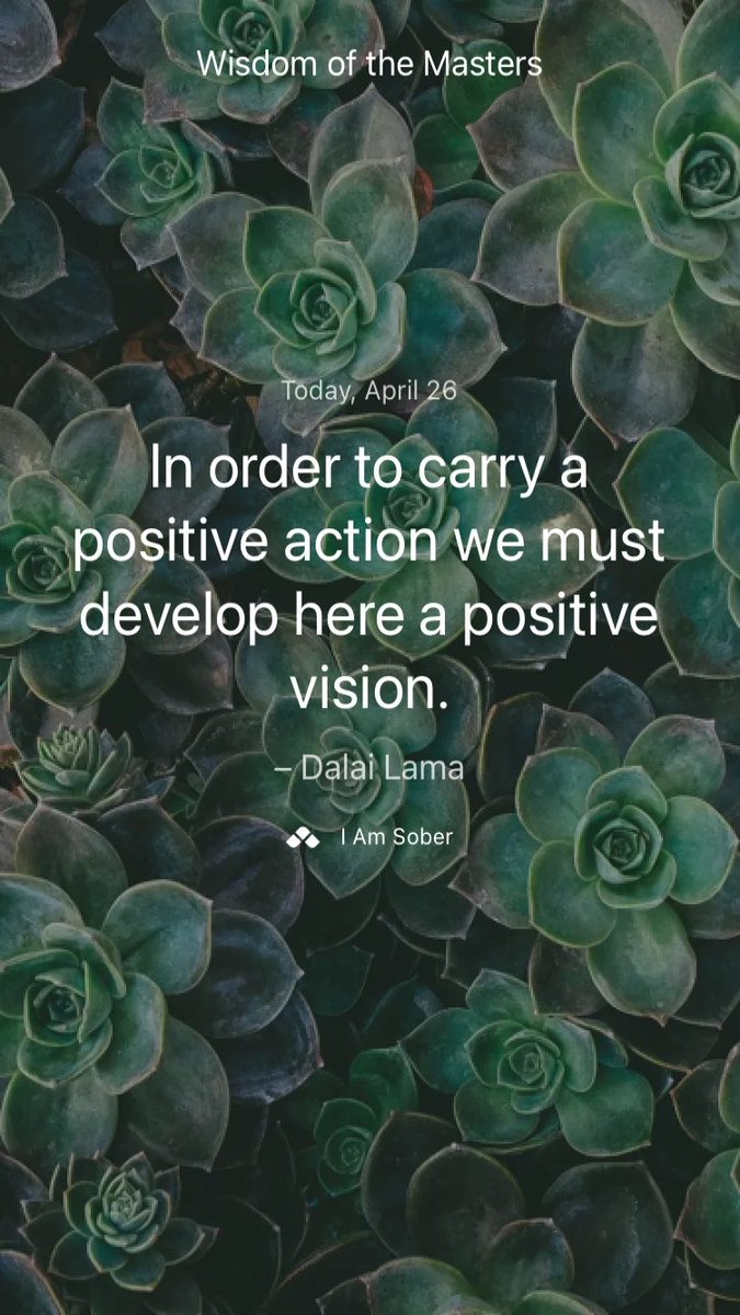 In order to carry a positive action we must develop here a positive vision. – #DalaiLama #iamsober