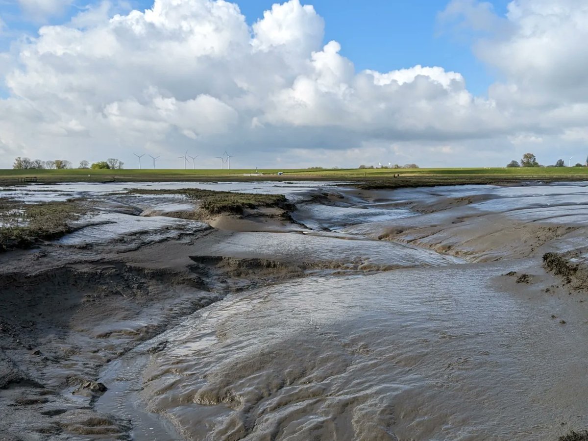 Moin aus dem Langwarder Groden.. #Fedderwardersiel #butjadingen #nordsee #wesermarsch #Langwarden