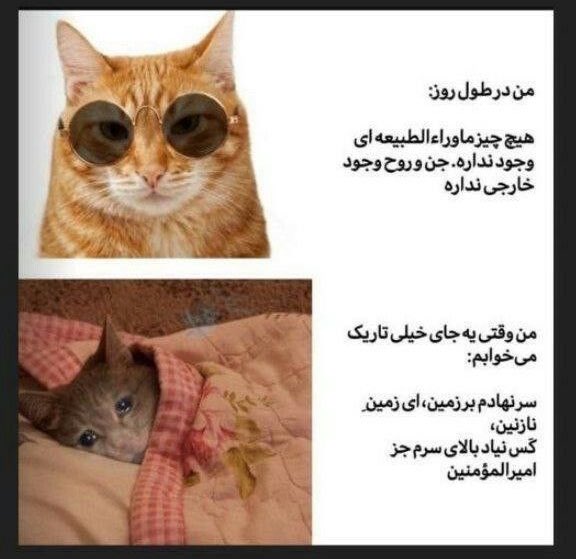 presidentAli13's tweet photo. ۹۹٪ مون اینو تجربه کردیم https://t.co/NmuDKsNh5O