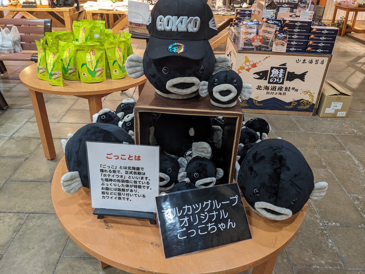 DwaPk_jenya_dqx's tweet image. 定期

#ごっこ　＃ホテイウオ　#函館