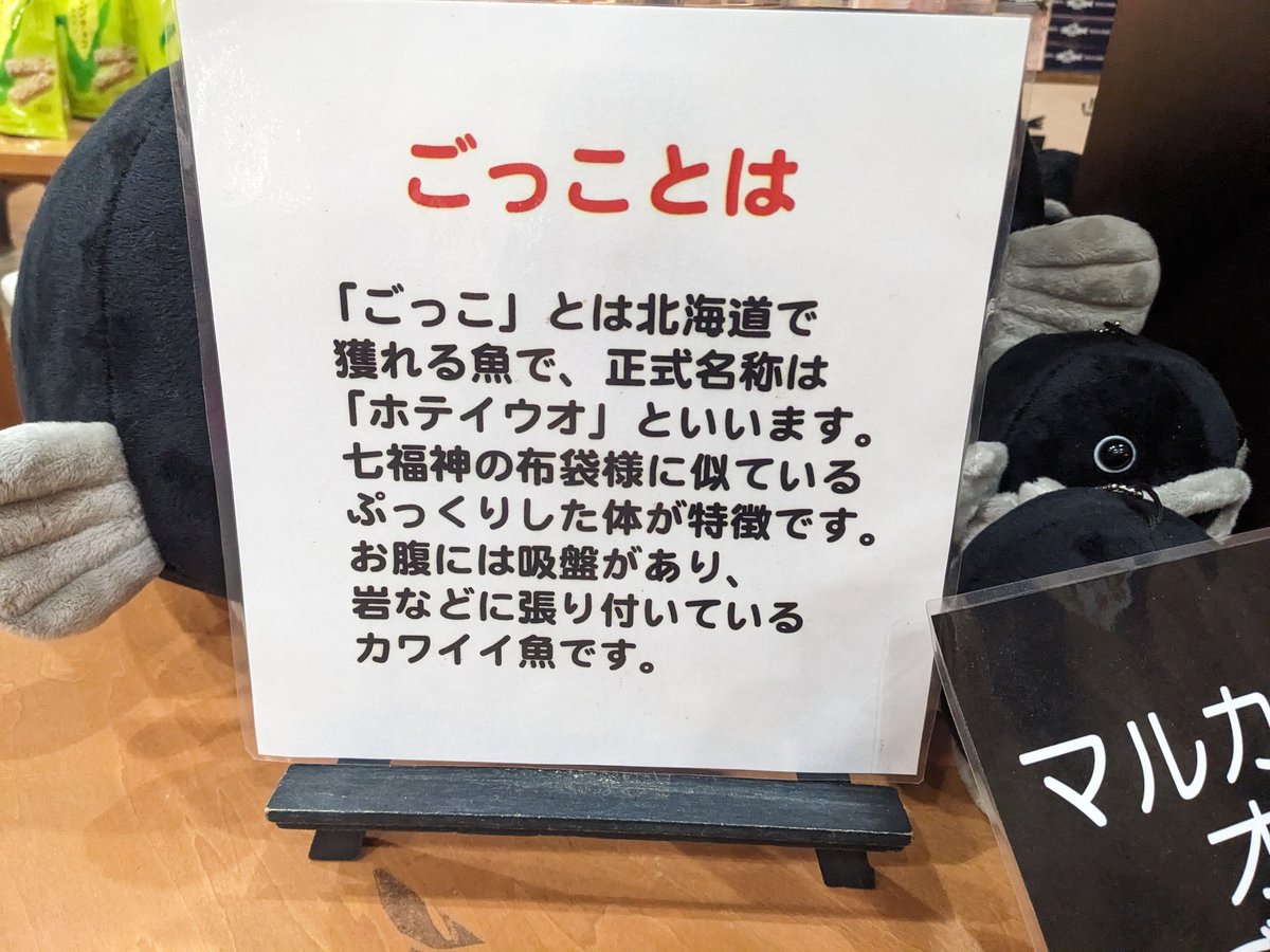 DwaPk_jenya_dqx's tweet image. 定期

#ごっこ　＃ホテイウオ　#函館